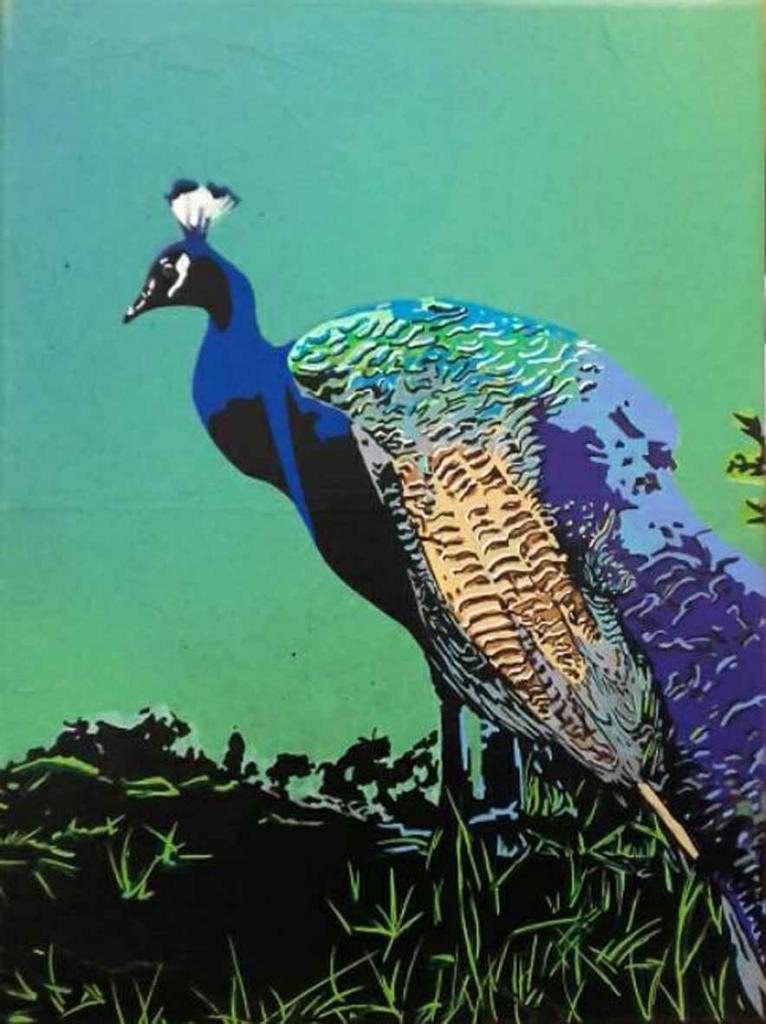 Peacock#1