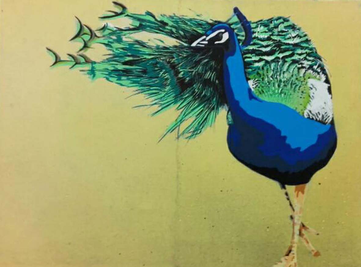 Peacock#2