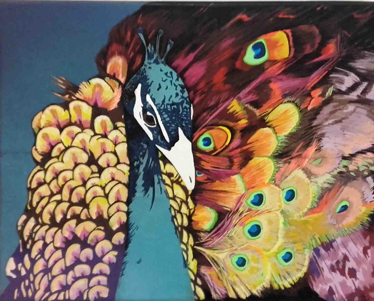 Peacock in color